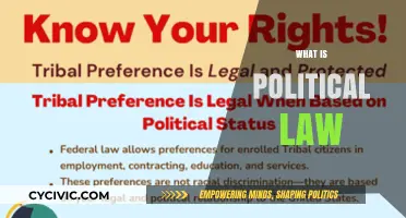 Understanding Political Law: Key Principles and Real-World Applications