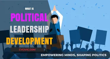 Understanding Political Leadership Development: Strategies for Effective Governance