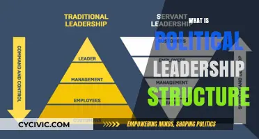Understanding Political Leadership Structure: Roles, Hierarchy, and Power Dynamics