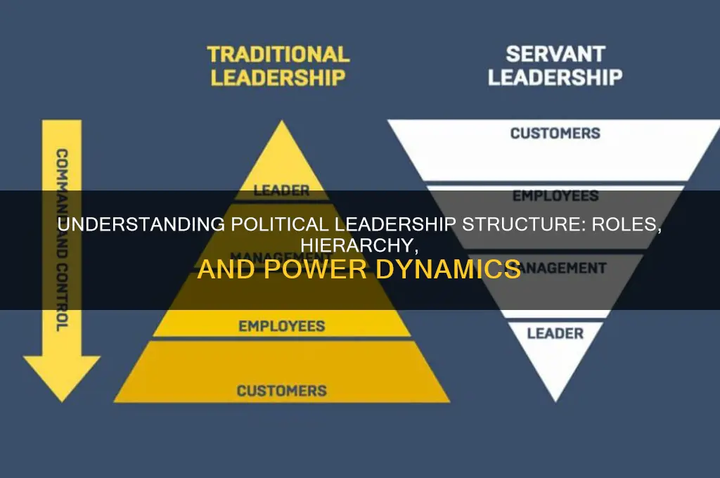 what is political leadership structure