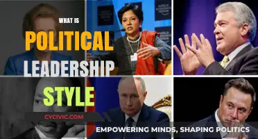Understanding Political Leadership Styles: Power, Influence, and Governance Strategies
