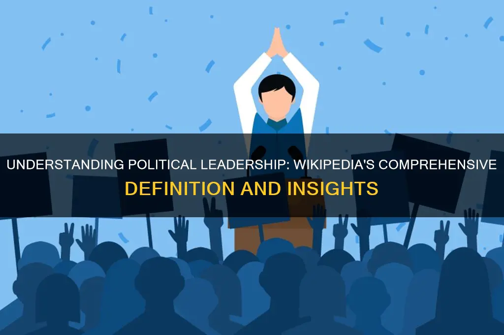what is political leadership wikipedia