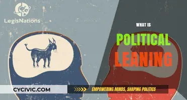 Understanding Political Leaning: Ideologies, Influences, and Impact on Society