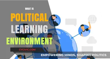 Understanding the Dynamics of a Political Learning Environment
