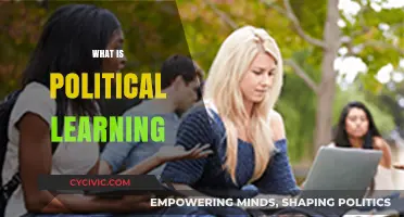 Understanding Political Learning: Shaping Civic Engagement and Democratic Participation