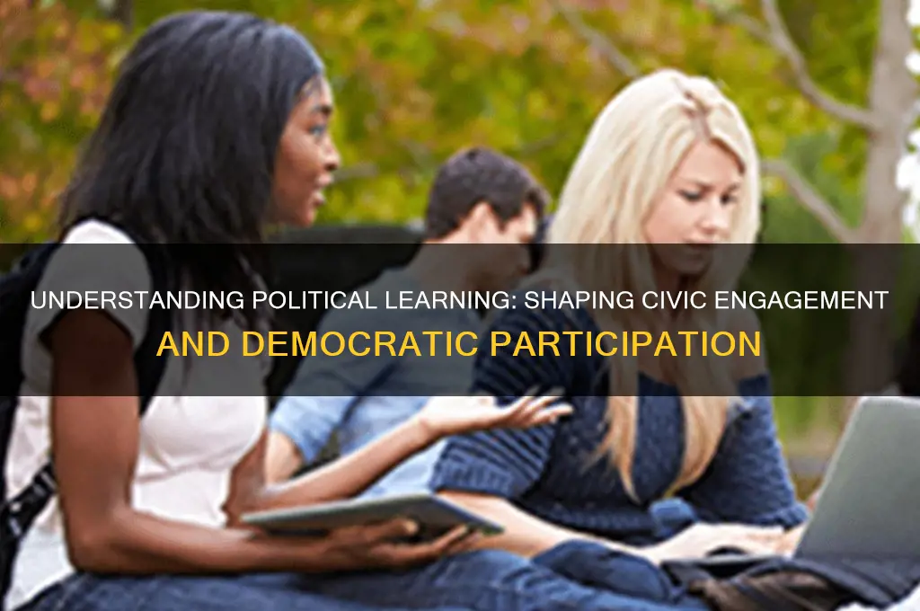 what is political learning