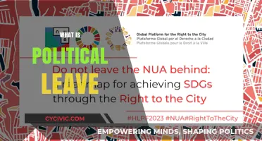 Understanding Political Leave: Rights, Eligibility, and Workplace Implications Explained