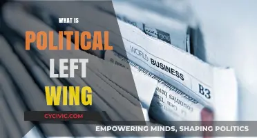 Understanding the Political Left Wing: Core Beliefs and Values Explained