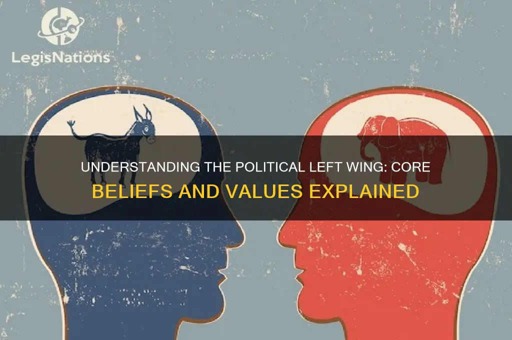 what is political left wing
