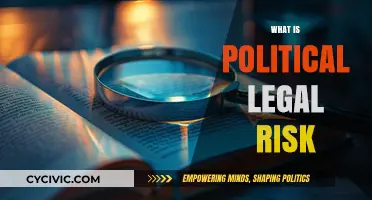 Understanding Political Legal Risk: Impact on Business and Investment Strategies
