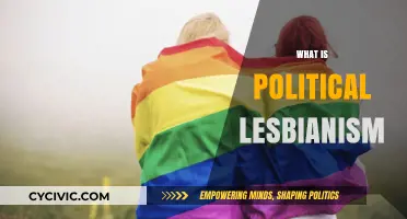 Understanding Political Lesbianism: A Radical Feminist Identity Explained