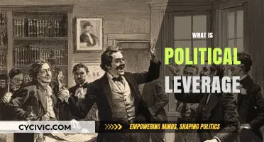 Understanding Political Leverage: Power Dynamics and Strategic Influence Explained
