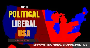 Understanding Political Liberalism in the United States: Core Values and Impact
