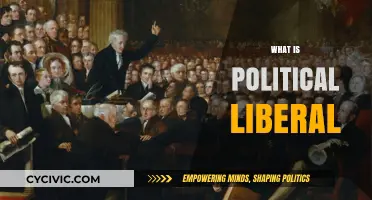 Understanding Political Liberalism: Core Principles and Modern Applications