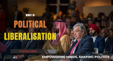 Understanding Political Liberalisation: Reforms, Democracy, and Societal Transformation Explained