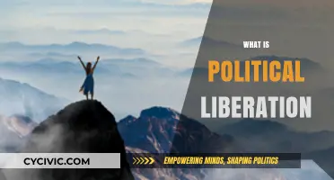 Understanding Political Liberation: Freedom, Empowerment, and Social Transformation Explained