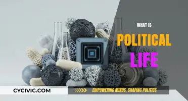 Understanding Political Life: Power, Governance, and Societal Dynamics Explained