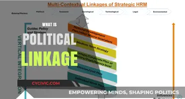 Understanding Political Linkage: Strategies, Impacts, and Global Connections Explained
