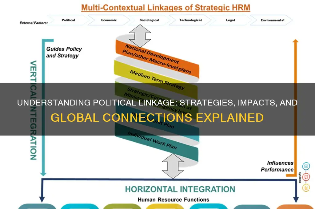 what is political linkage