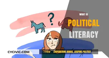Understanding Political Literacy: Empowering Citizens in Democracy's Complex Landscape