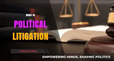 Understanding Political Litigation: Legal Battles Shaping Policy and Governance