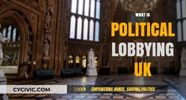 Understanding Political Lobbying in the UK: Influence, Power, and Policy Shaping