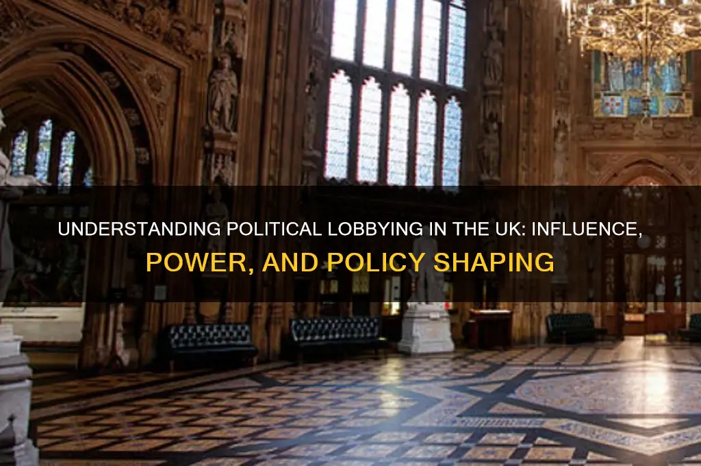 what is political lobbying uk