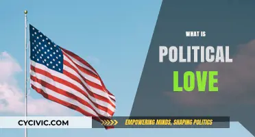 Understanding Political Love: Ideologies, Connections, and Societal Impact Explored