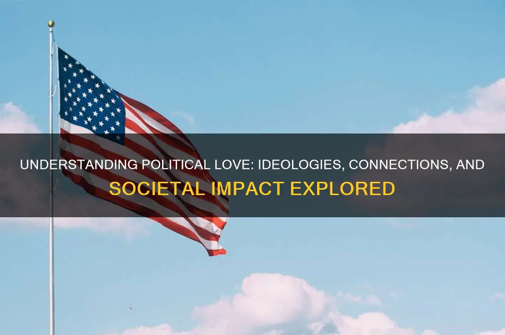what is political love
