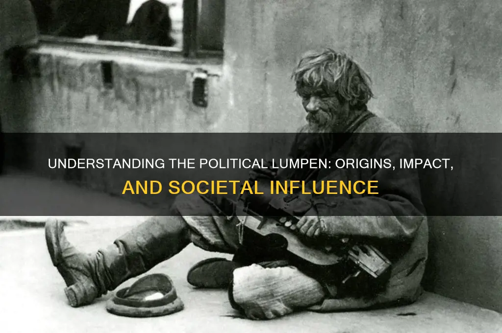 what is political lumpen