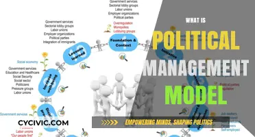 Understanding the Political Management Model: Strategies for Effective Governance