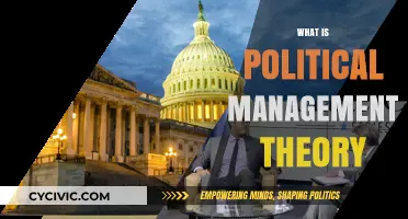 Understanding Political Management Theory: Strategies, Power, and Governance Explained