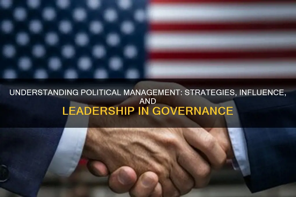 what is political management