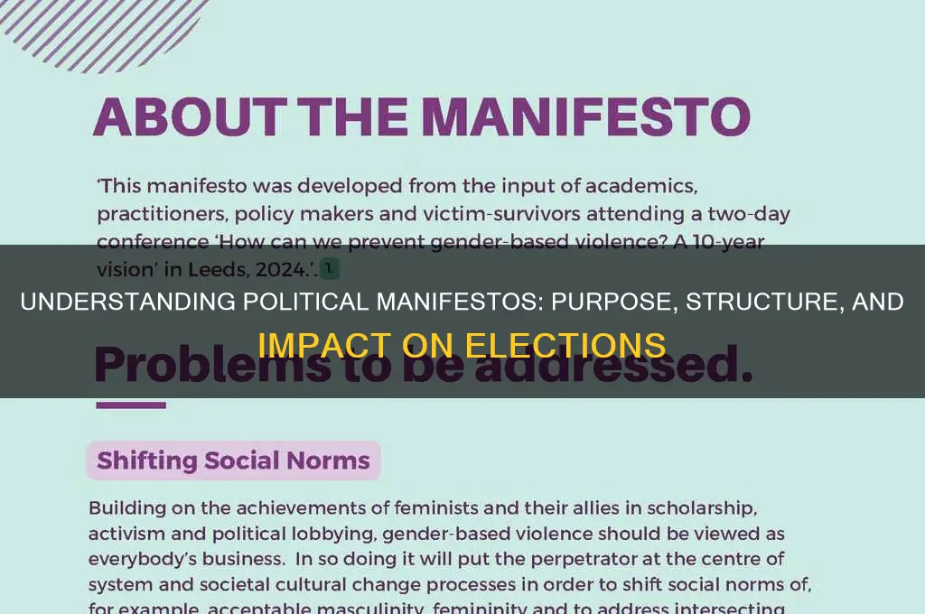 what is political manifesto