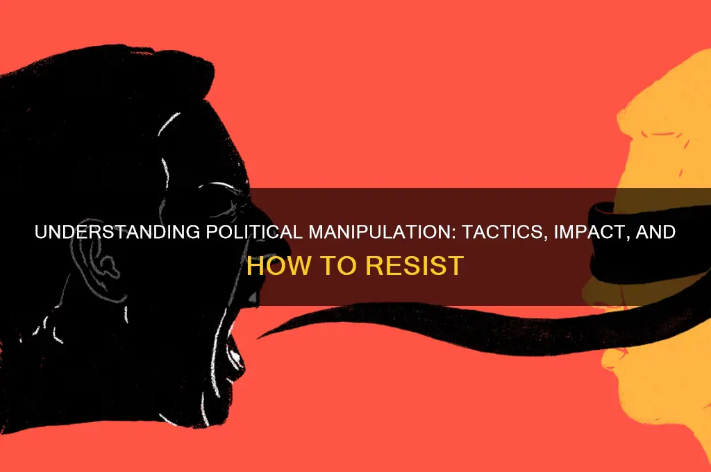 what is political manipulation