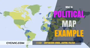 Understanding Political Maps: Examples and Key Features Explained