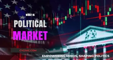 Understanding the Political Market: Dynamics, Influence, and Economic Intersection