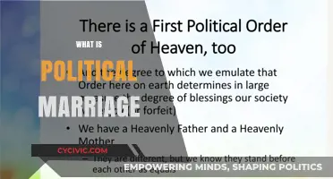 Understanding Political Marriages: Unions of Power, Strategy, and Influence