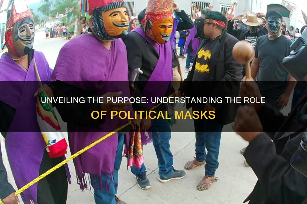 what is political mask for