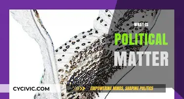 Understanding Political Matter: Core Concepts and Real-World Implications Explained