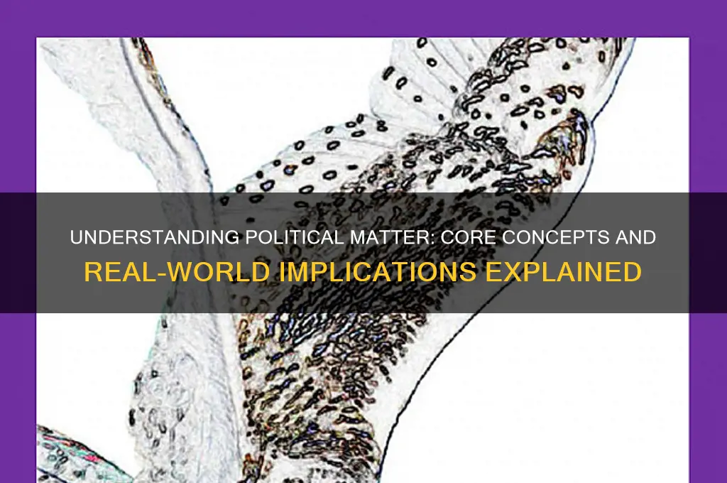 what is political matter