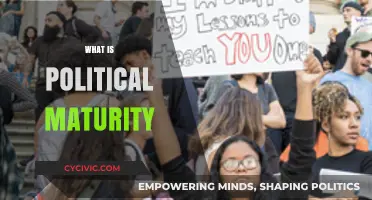 Understanding Political Maturity: A Guide to Civic Responsibility and Engagement