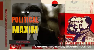 Understanding Political Maxims: Core Principles Shaping Governance and Policy