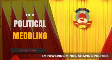 Understanding Political Meddling: Tactics, Impact, and Global Implications