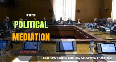 Understanding Political Mediation: Bridging Divides in Conflict Resolution