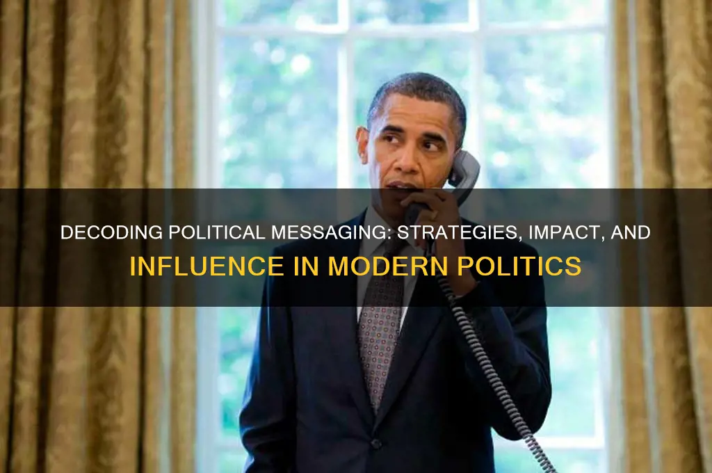 what is political messaging