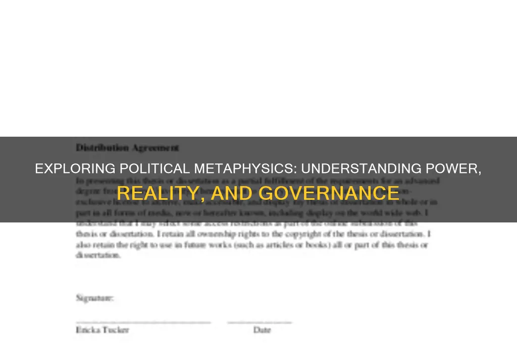 what is political metaphysics