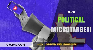 Understanding Political Microtargeting: Strategies, Impact, and Ethical Concerns
