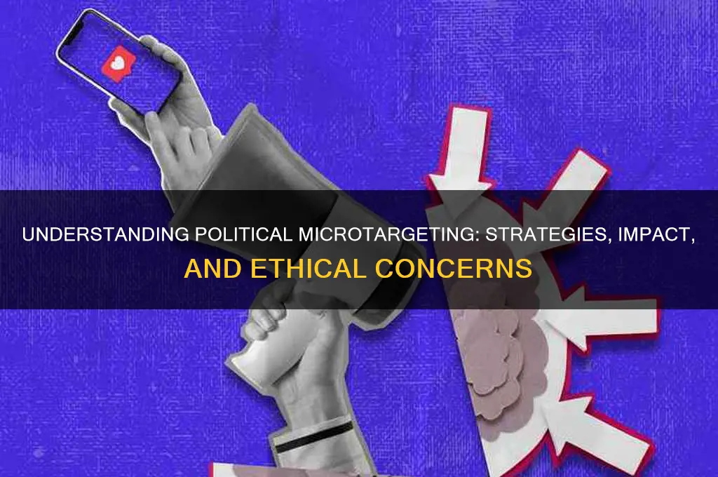 what is political microtargeting