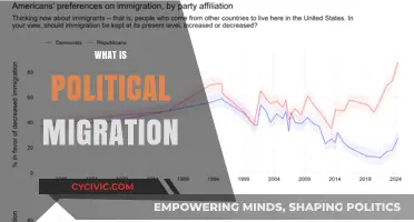 Understanding Political Migration: Causes, Impacts, and Global Trends Explained